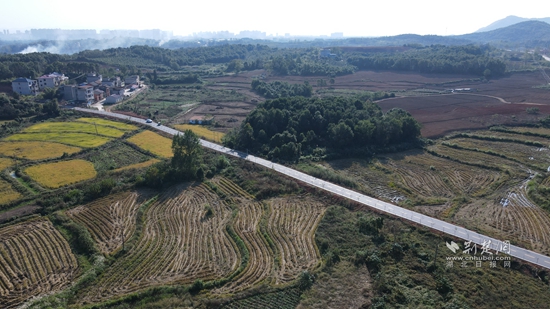 城東管理區原種場.jpg